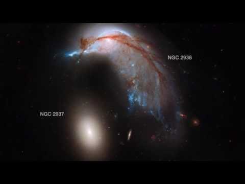 Hubblecast 65: A whole new view of the Horsehead Nebula